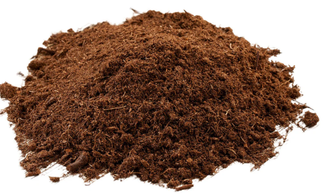 Peat Moss 8qts