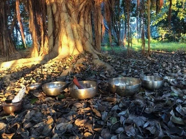 Sound &amp; Silence -In Person