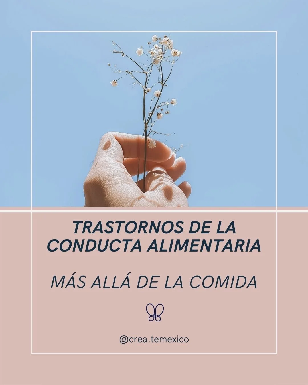 Hablar de trastornos de la conducta alimentaria es hablar de salud mental.
No se trata de fuerza de voluntad ni de apariencia,
sino de enfermedades que requieren comprensi&oacute;n, informaci&oacute;n y acompa&ntilde;amiento profesional.

Educar tamb