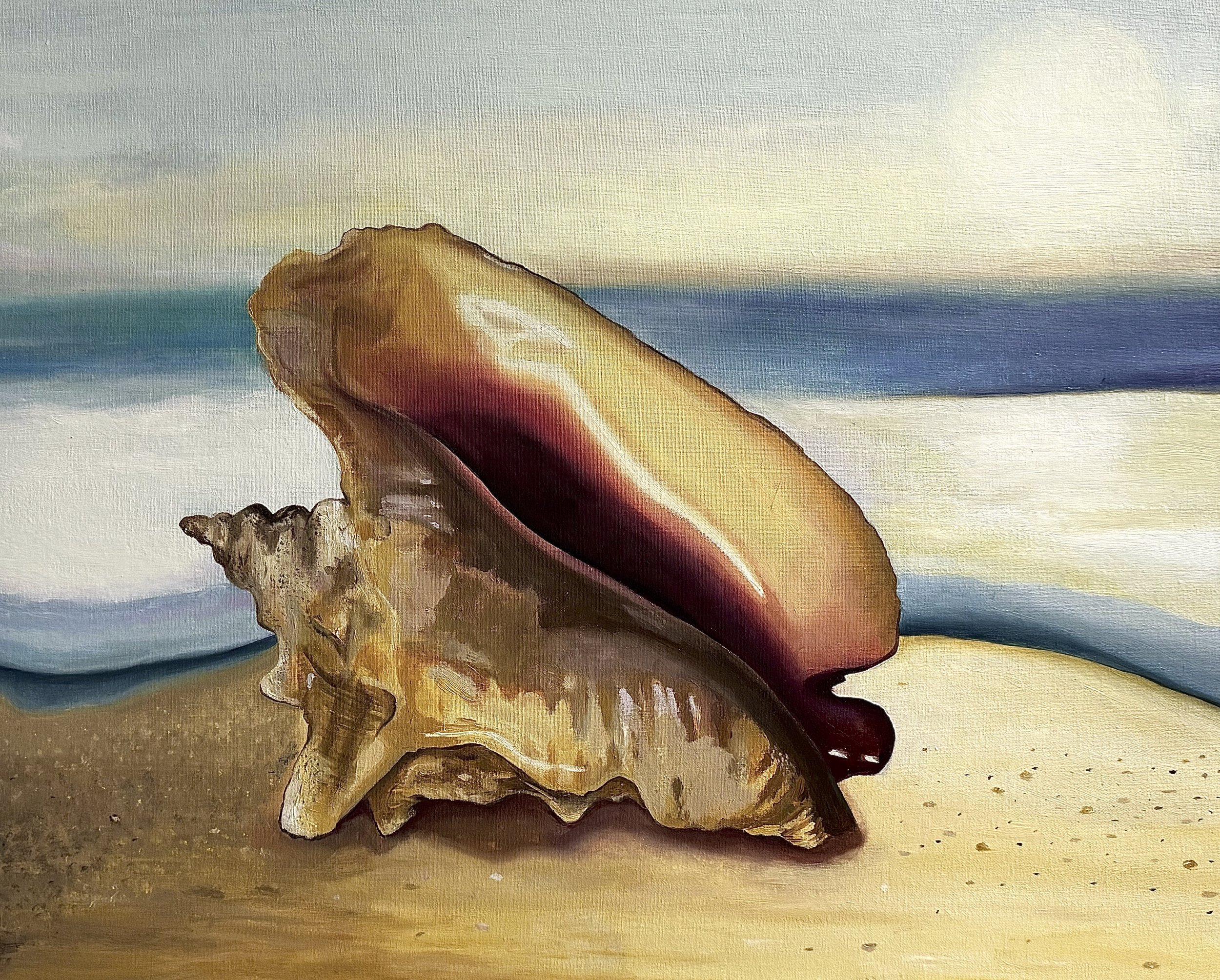 shell.jpg