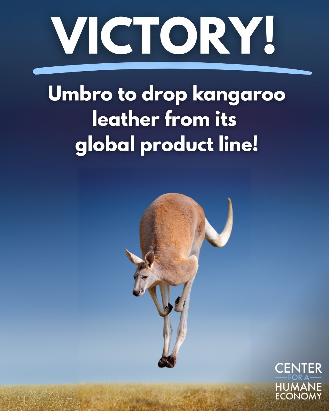 The Global Shift Away from Kangaroo Leather in Sportswear