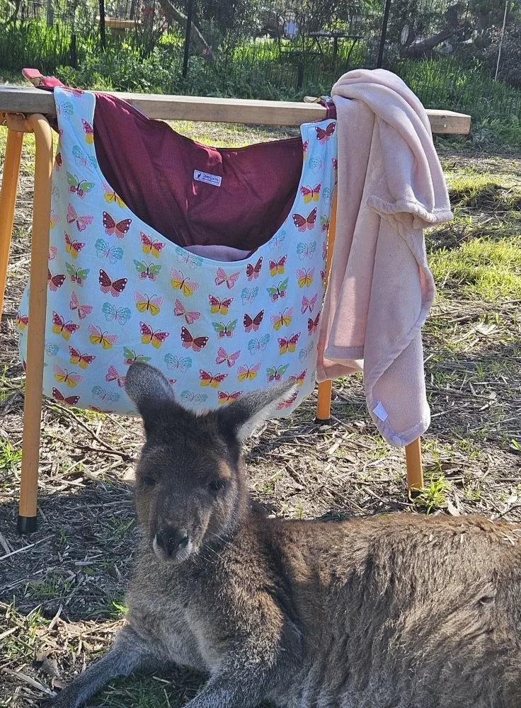 The Magic and Joy That Is Jaffa Roo