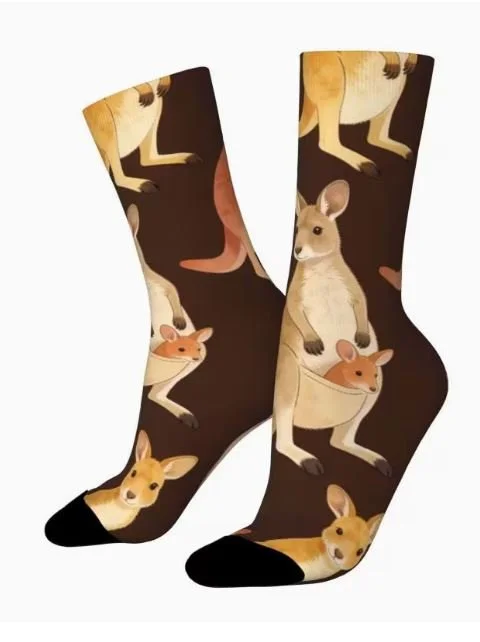 socks.JPG