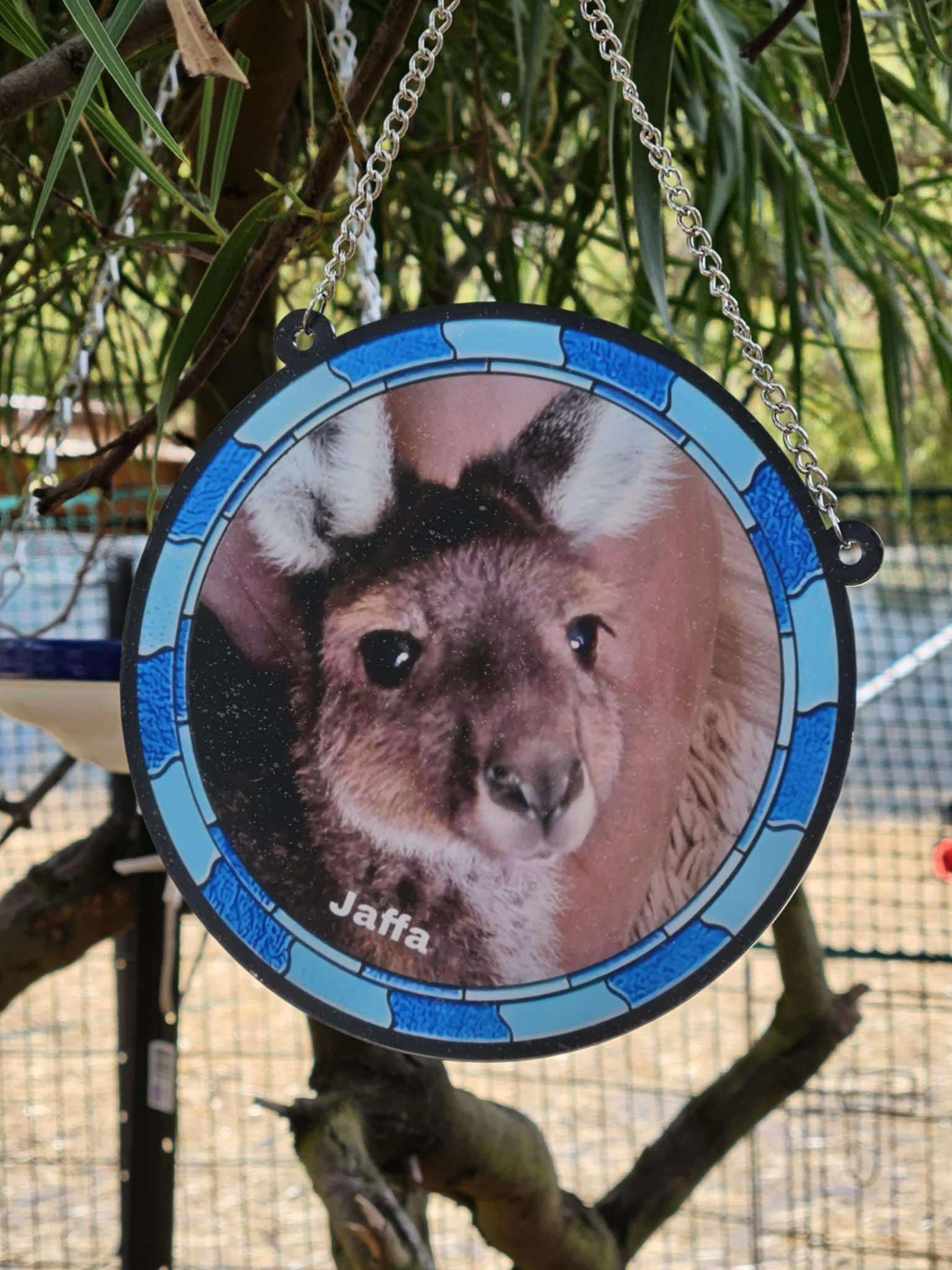 Jaffa Sun Catcher