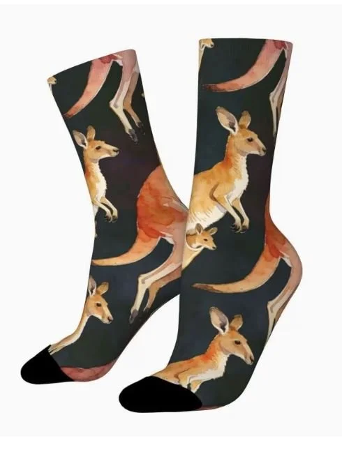 socks 4.JPG