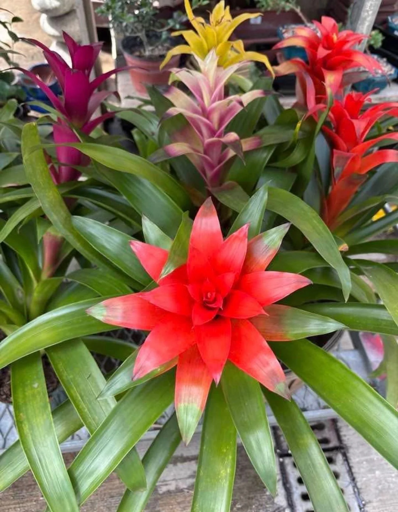 WhatsApp Image 2026-03-23 at 7.31.42 PM (5).jpeg