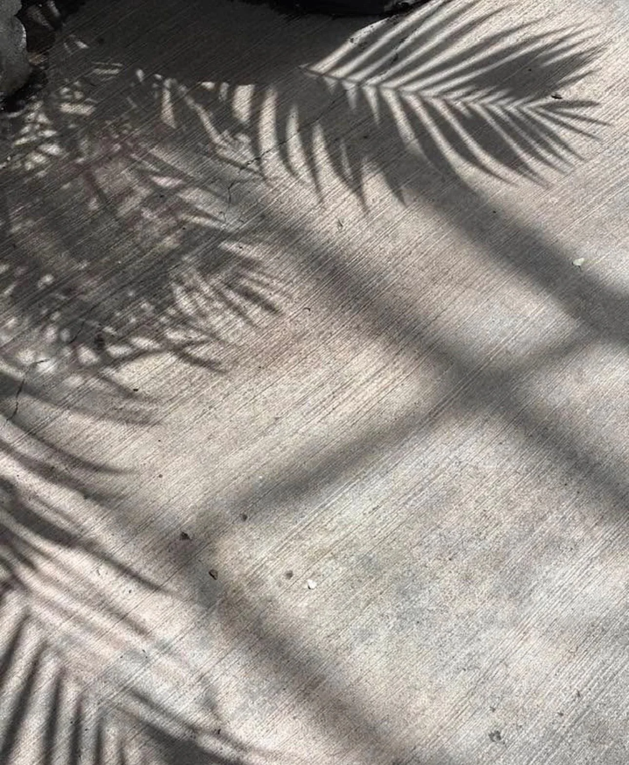 WhatsApp Image 2026-03-23 at 7.31.41 PM.jpeg