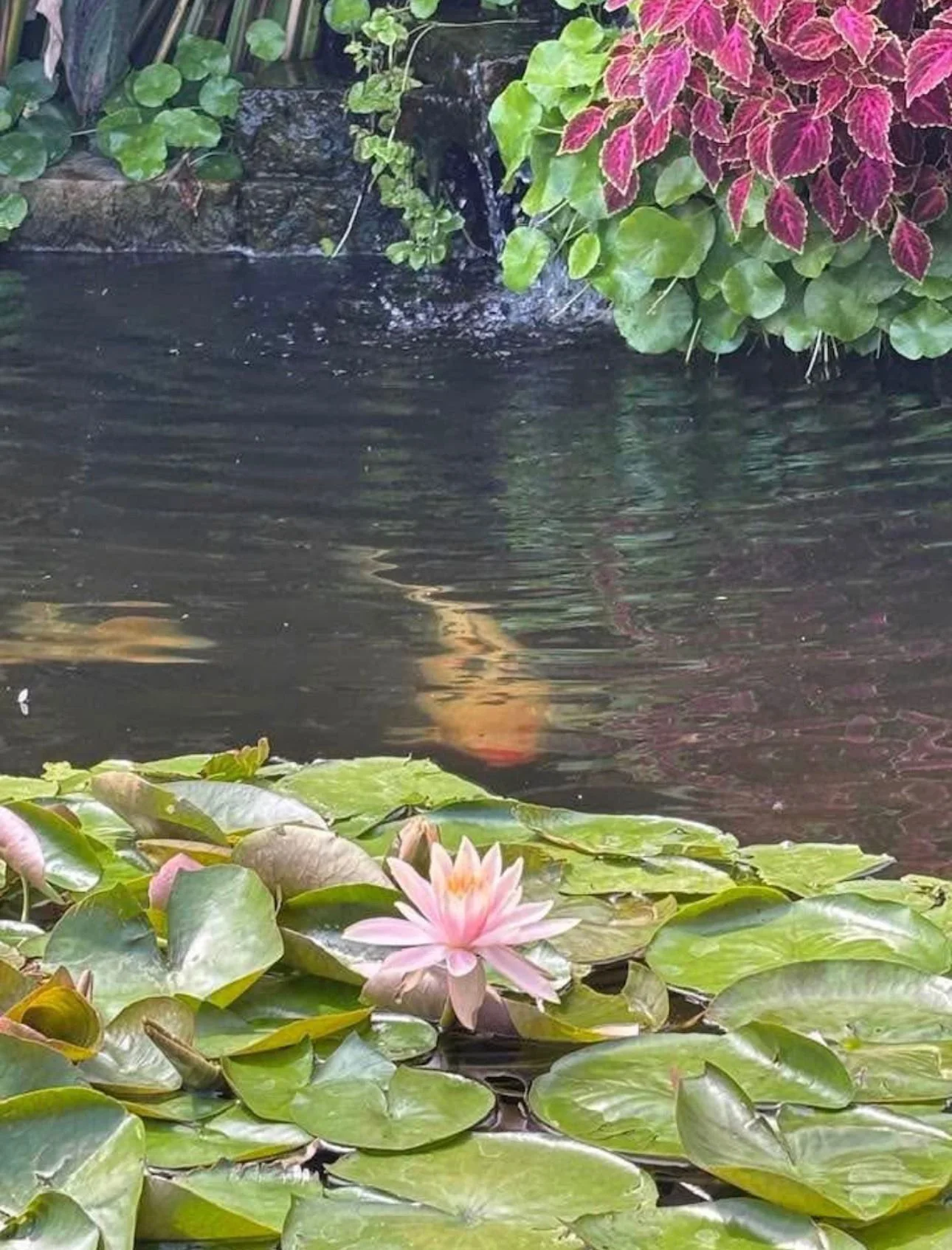 WhatsApp Image 2026-03-23 at 7.31.41 PM (2).jpeg