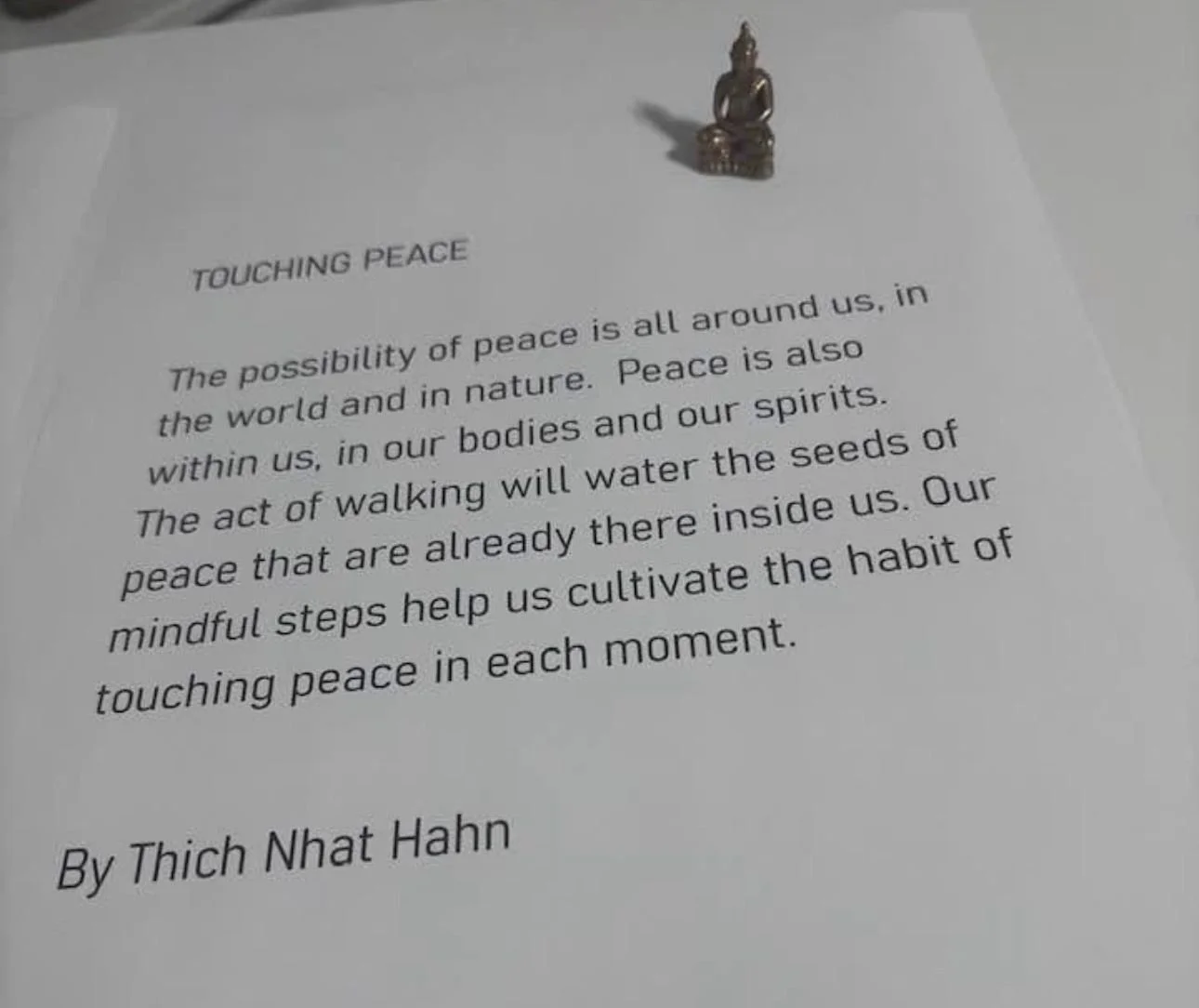 WhatsApp Image 2026-03-23 at 7.31.42 PM.jpeg