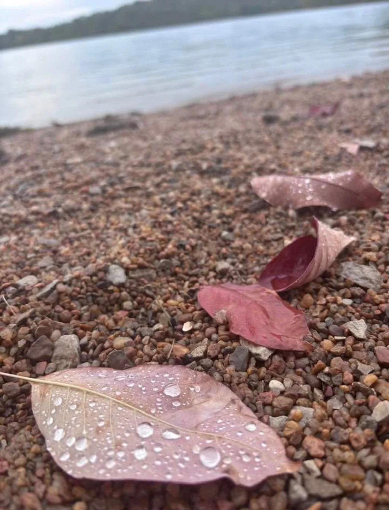 WhatsApp Image 2026-03-23 at 7.31.42 PM (2).jpeg