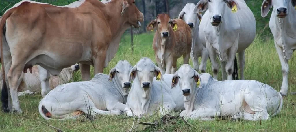 Genomics: Powerful, but one piece of the puzzle. 