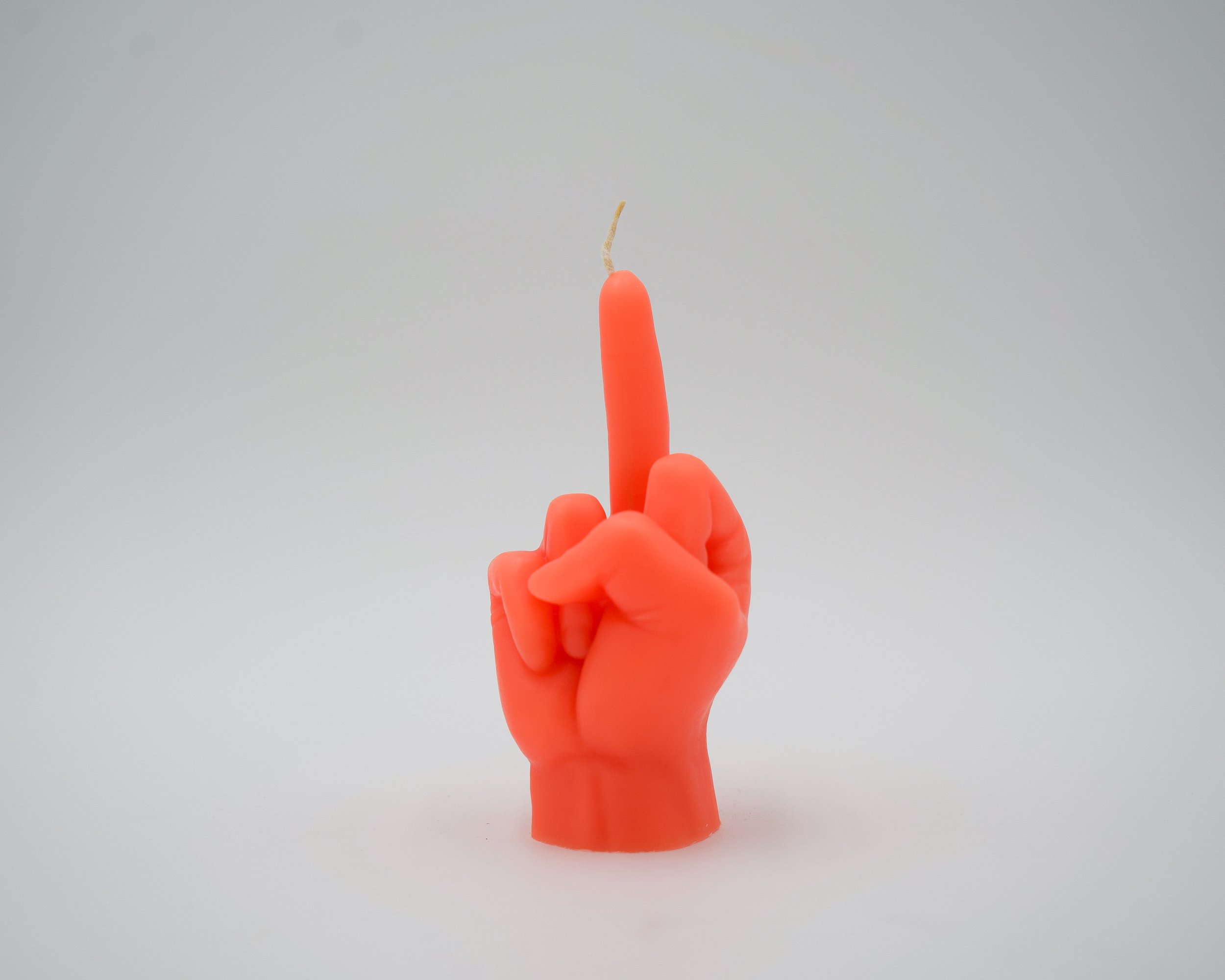 BIRDORANGE2.jpg