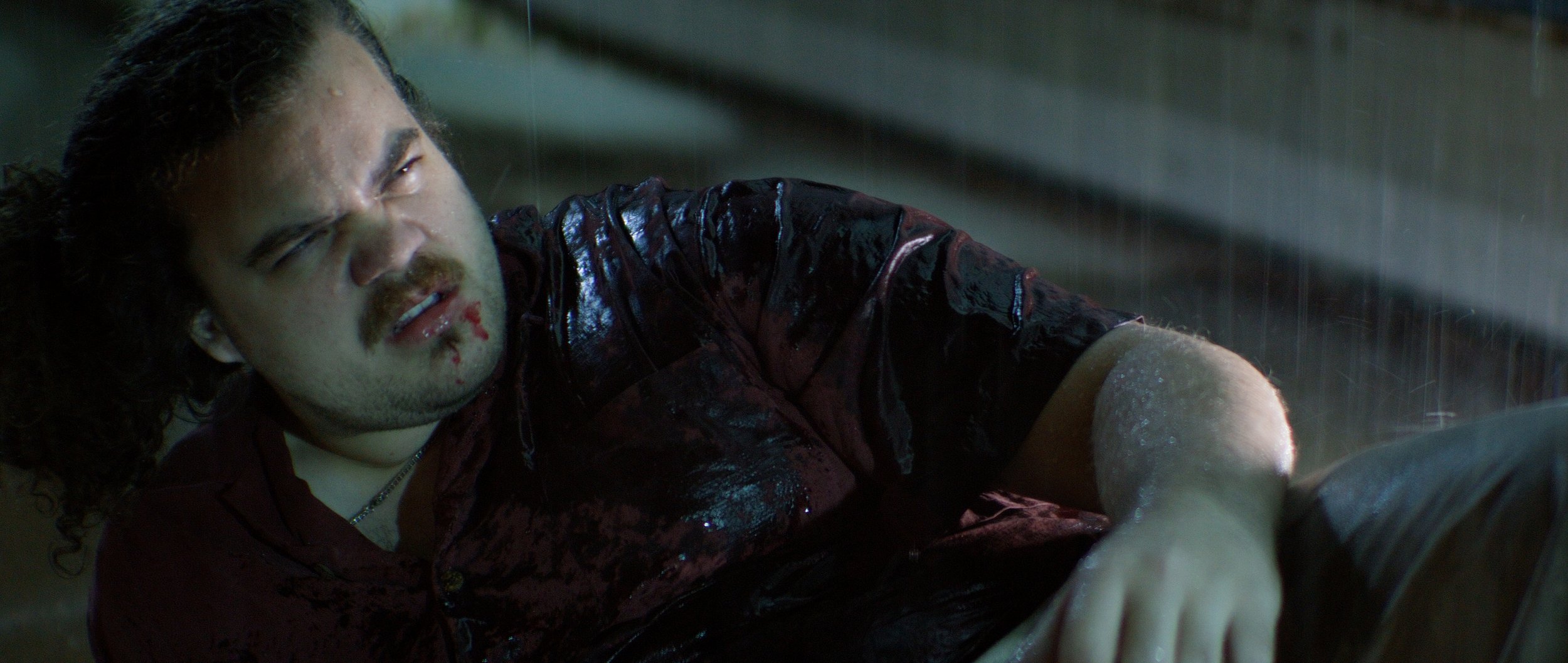 FINAL DWA Stills_1.17.1.jpg