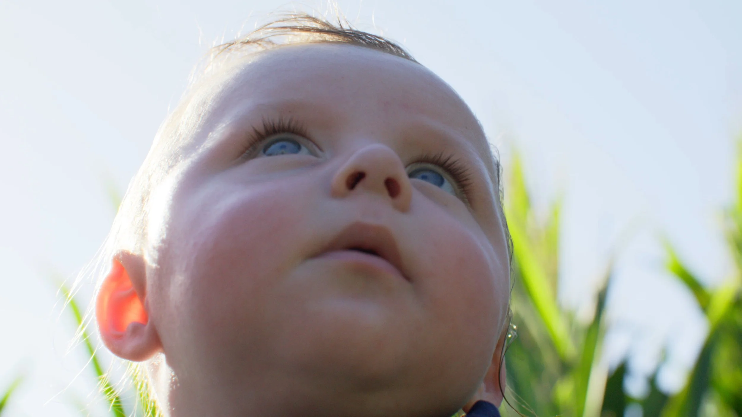 Brookwood Stills_1.12.1.jpg