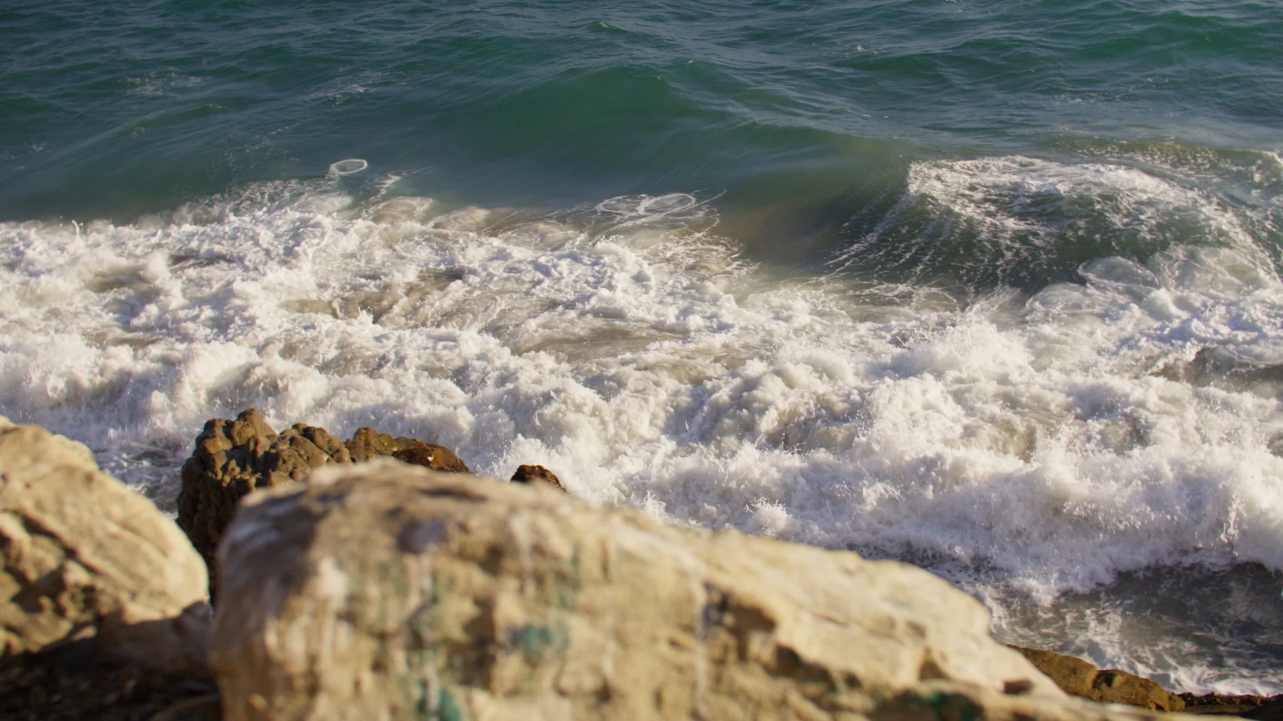 Brookwood Stills_1.3.1.jpg