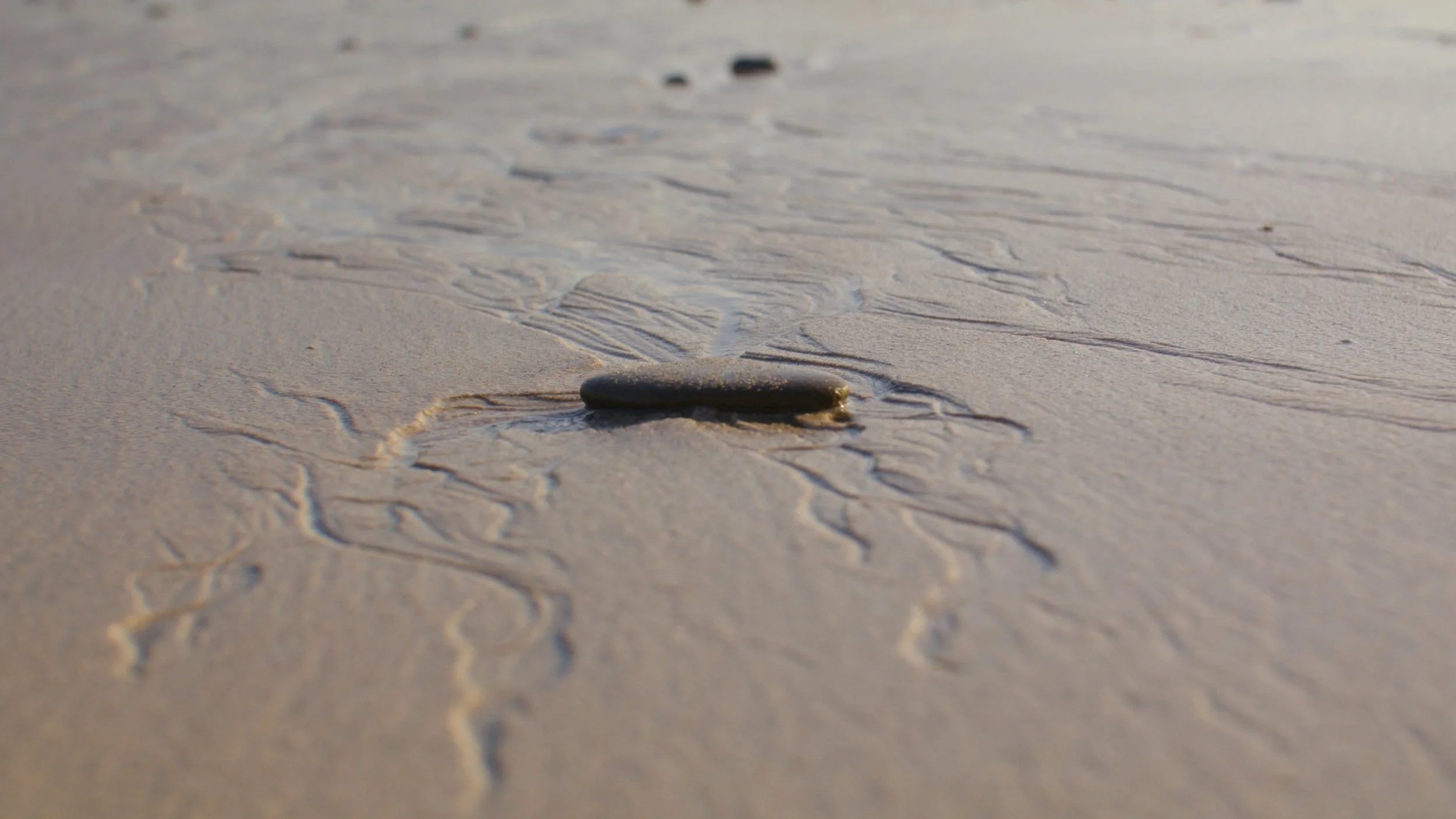 Brookwood Stills_1.2.1.jpg