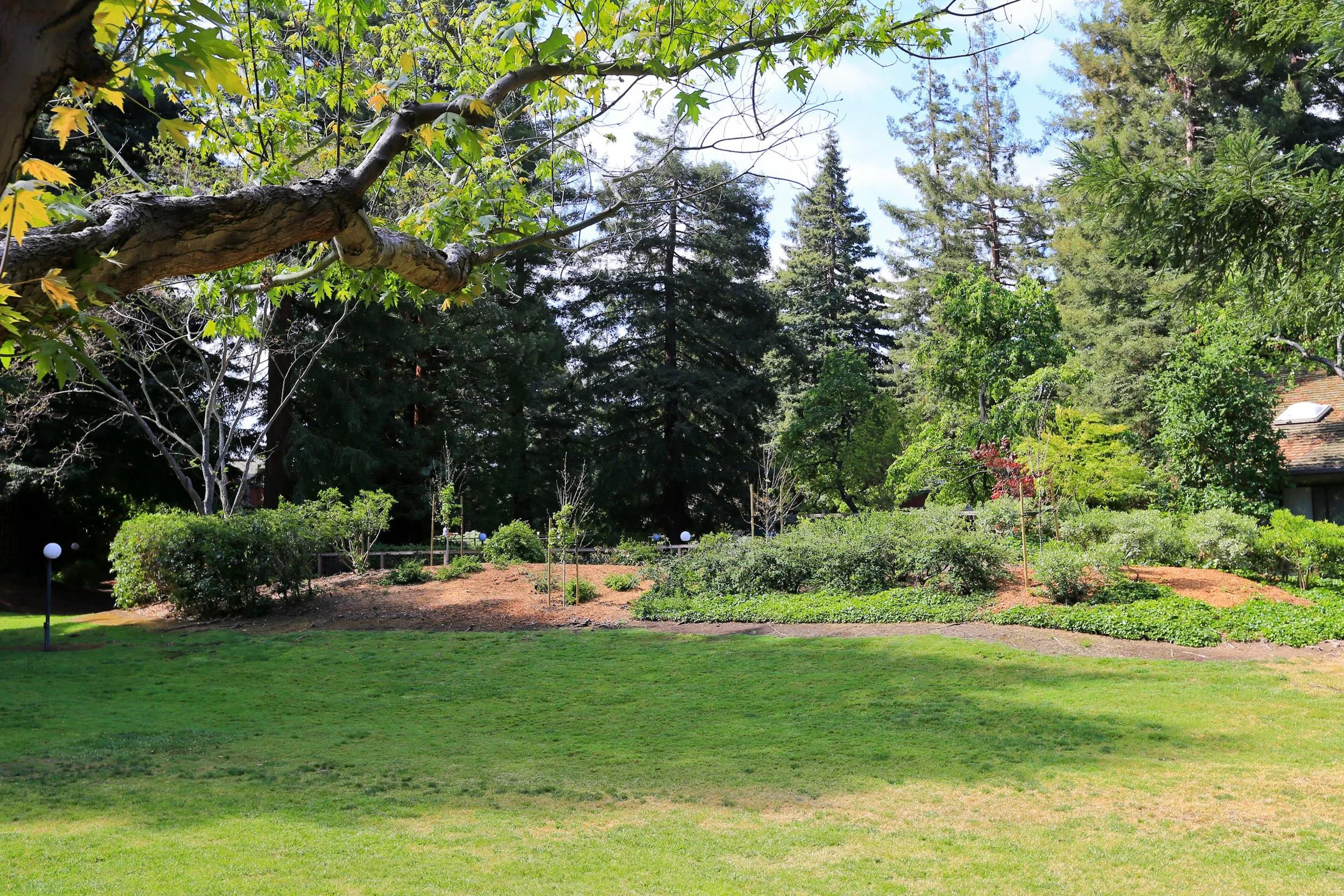 26-Cypress_Matt Anello-20-MLS.jpg