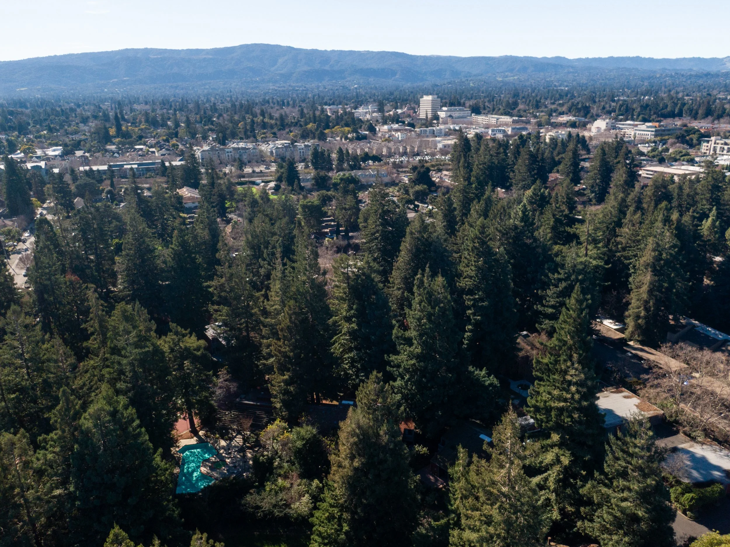 30-Cypress_Matt Anello-0200-MLS.jpg
