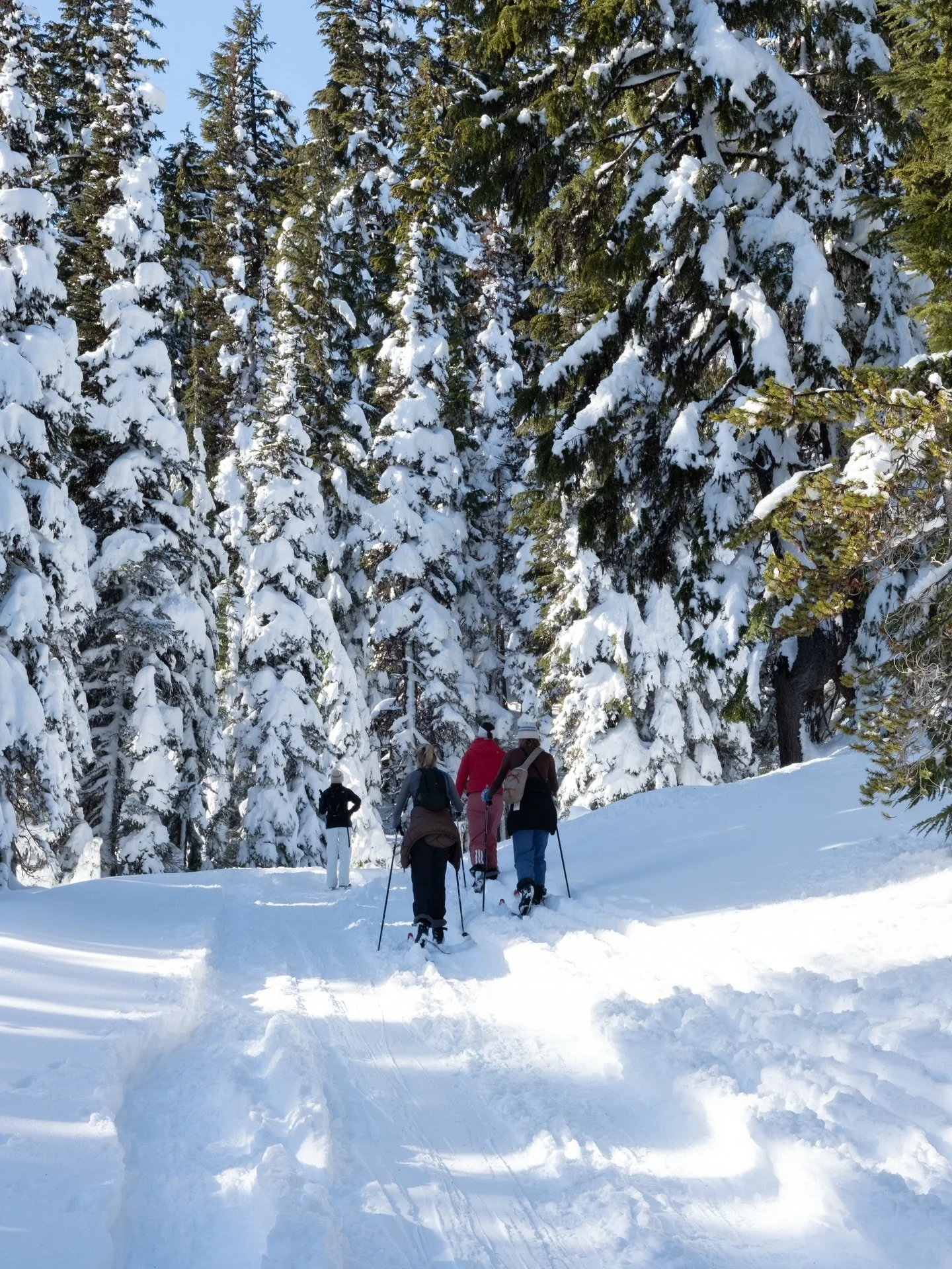 Yesterday I was in shorts and a tank top building a path in my backyard, getting ready for a spring garden. Today I&rsquo;m writing this while watching snow fall on the trees, bundled up next to my wood-fired stove.

This winter has felt a little eer