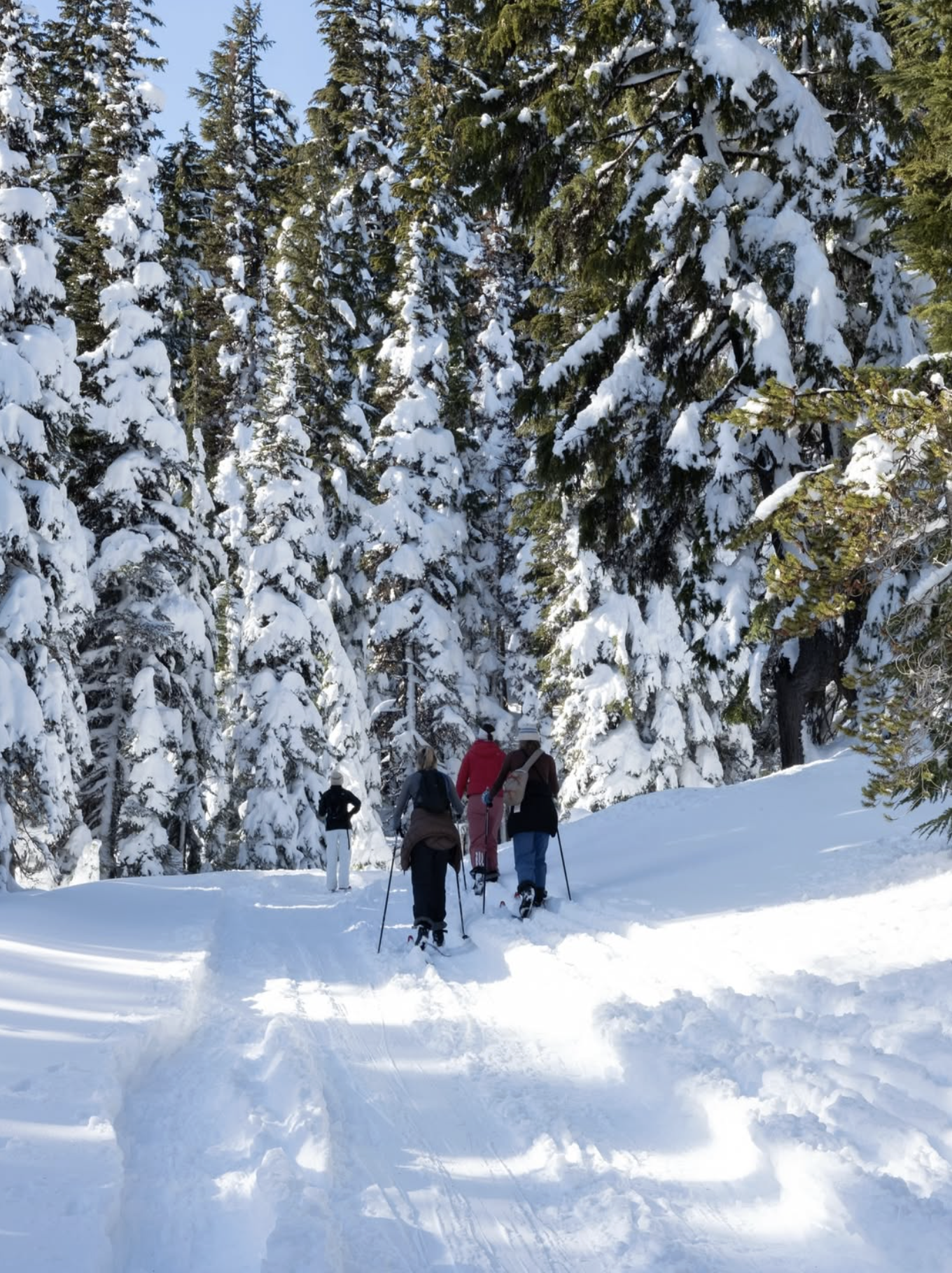 Screenshot 2026-03-24 at 8.50.12 AM.png