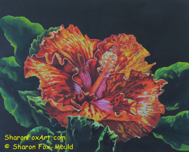 Hibiscus1 (1).png