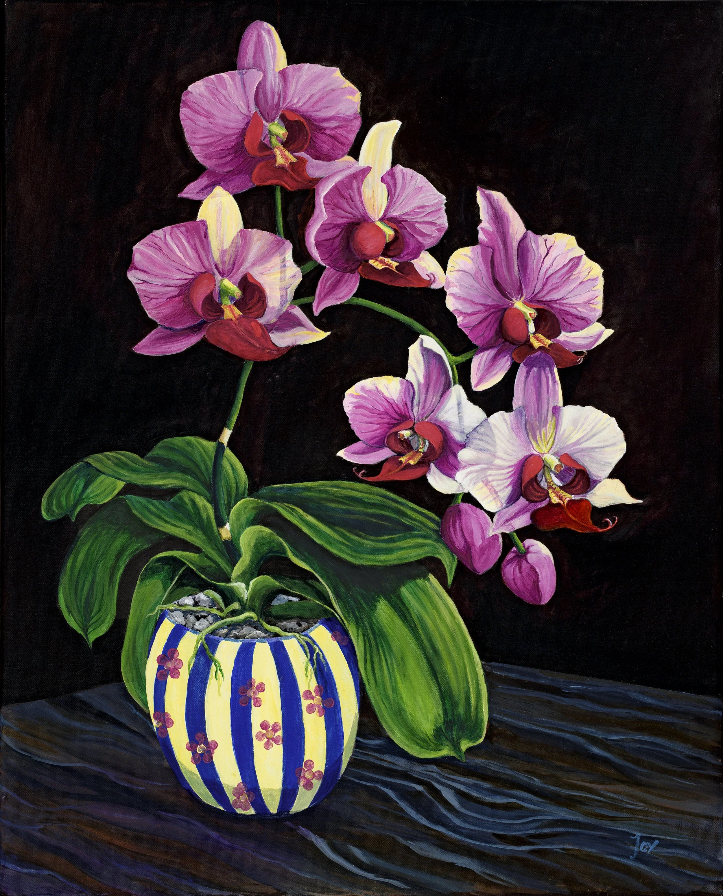 Orchid Still Life