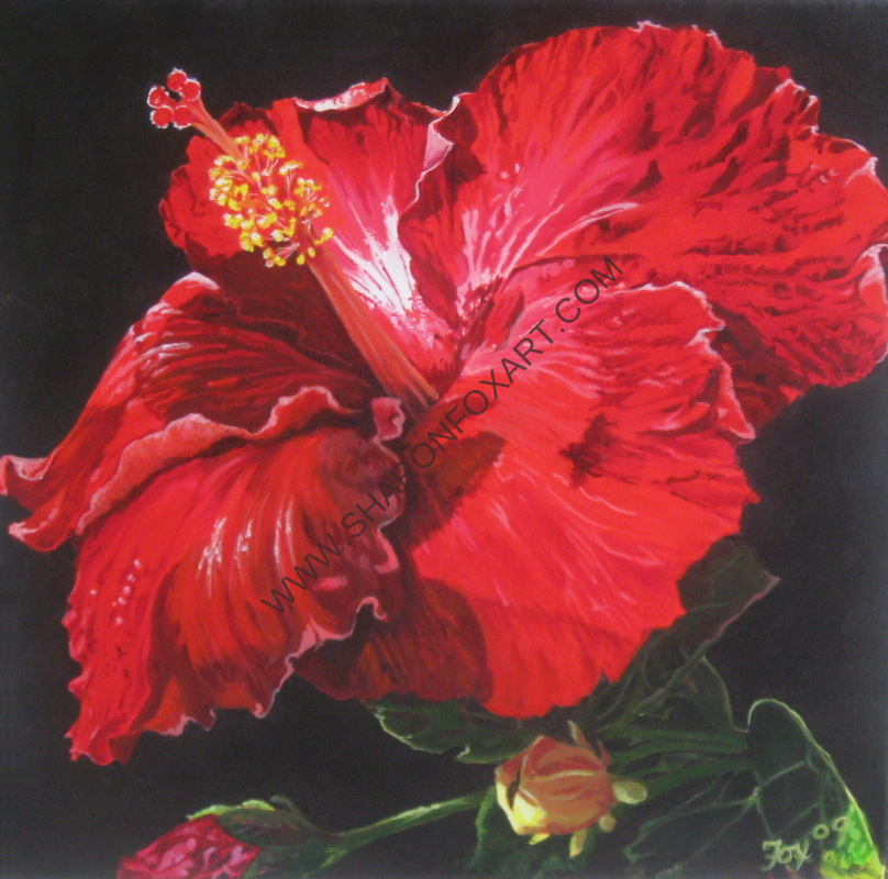 hibiscus2.png