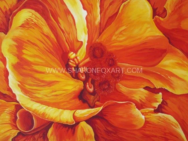 hibiscus-yellow-2010.jpg