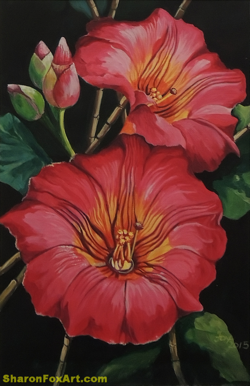 PotatoeFlower.png