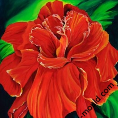 Bonnies Red Hibiscus