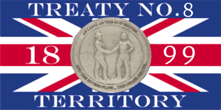 Treaty 8