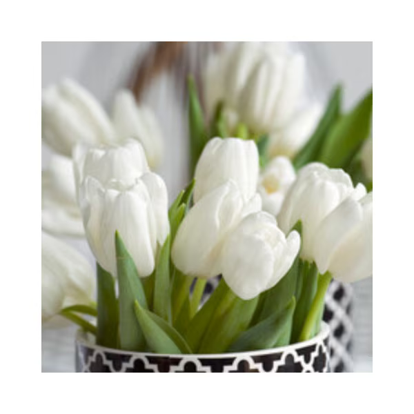 IMG_0704.png