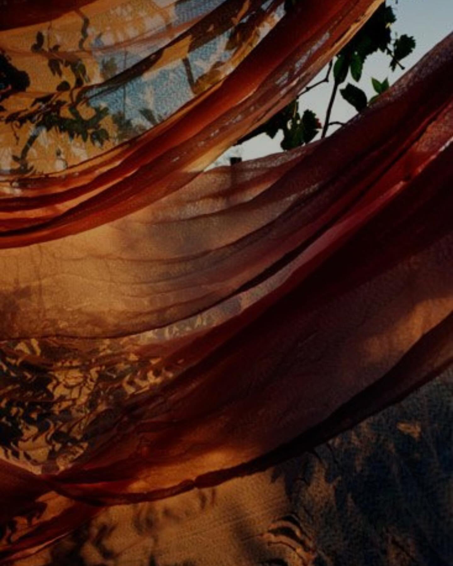 🍂🍒🍑🫧

#bathhaus #bathhauscronulla #bathhausrecovery #sydneyrecovery #sydneycoldplunge