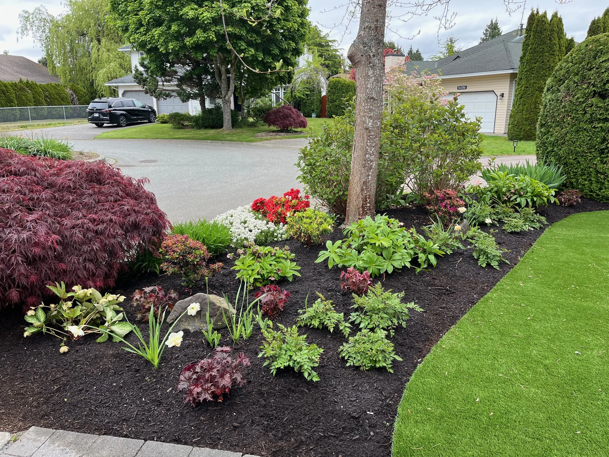 garden install and weeding