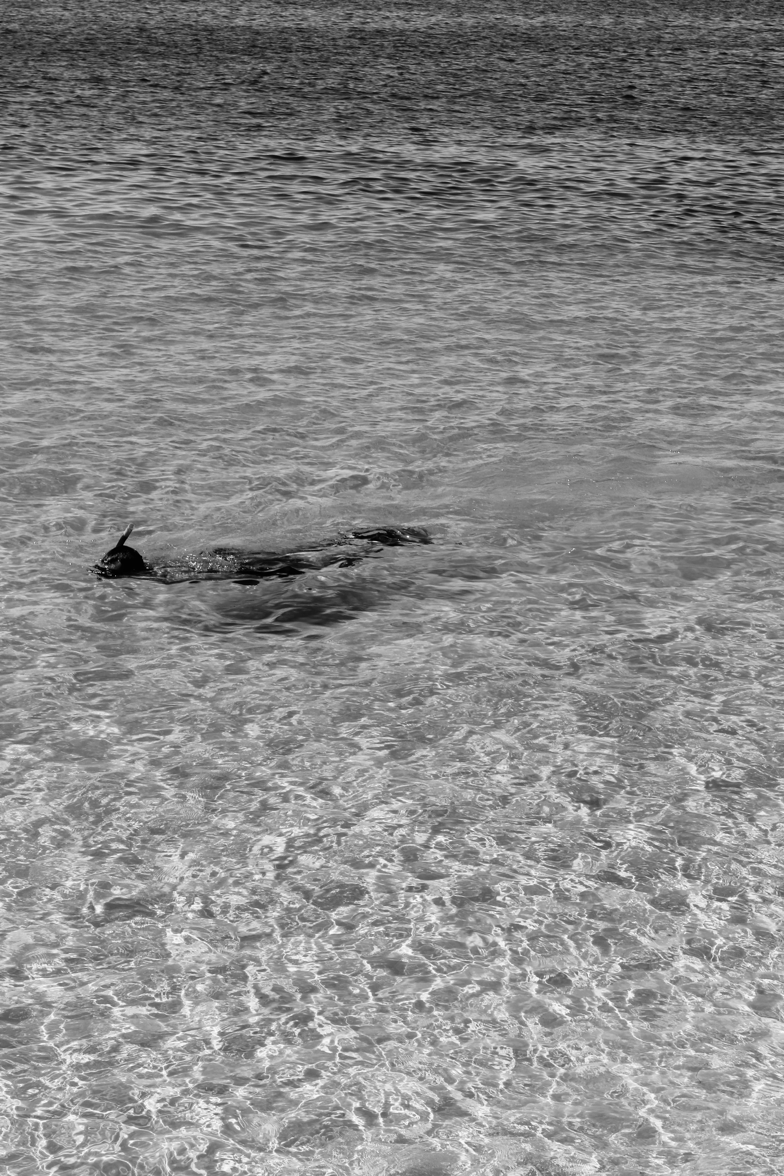 FINDING NEMO II.jpg