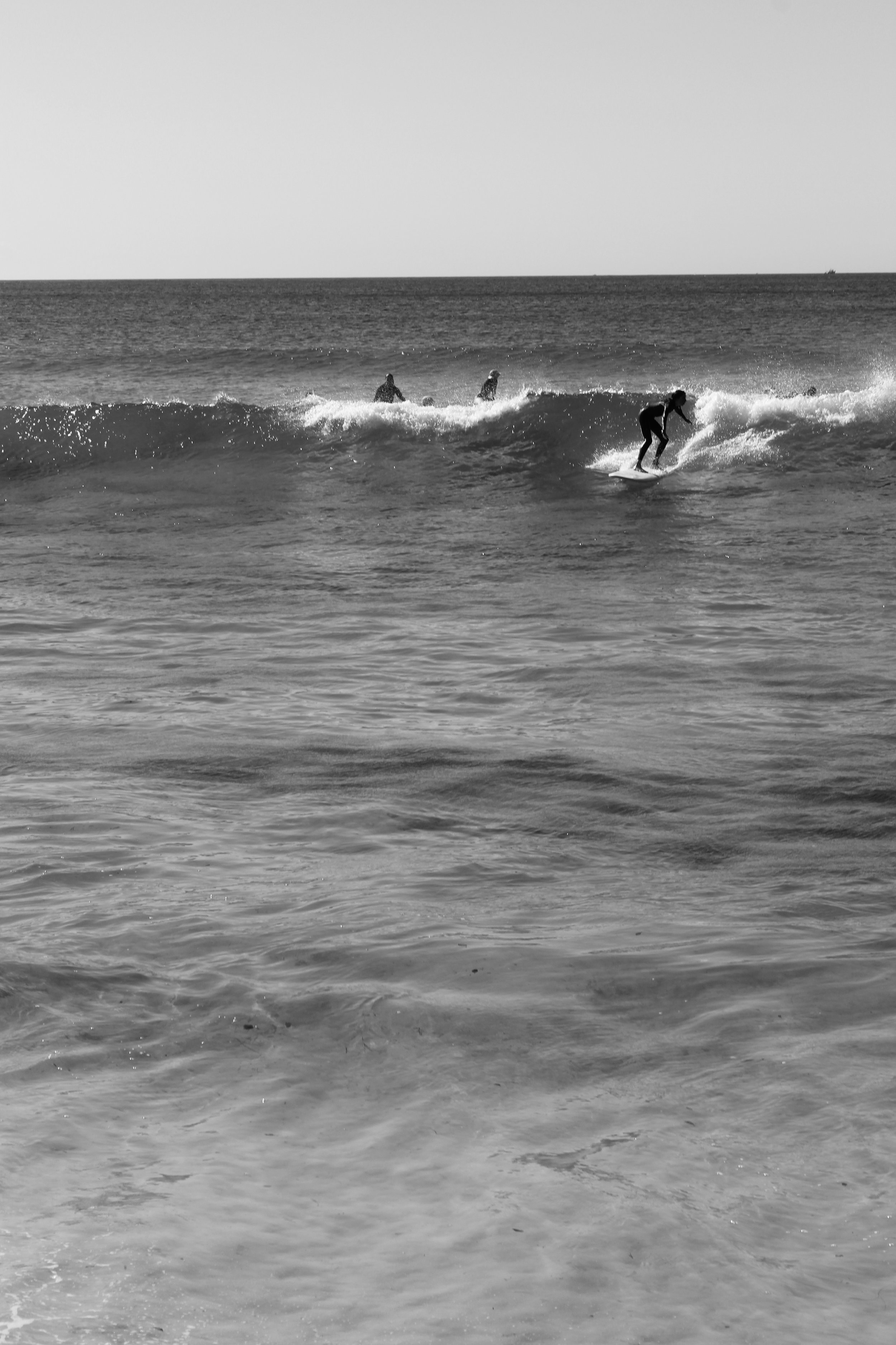 WAVE CATCHER II.jpg