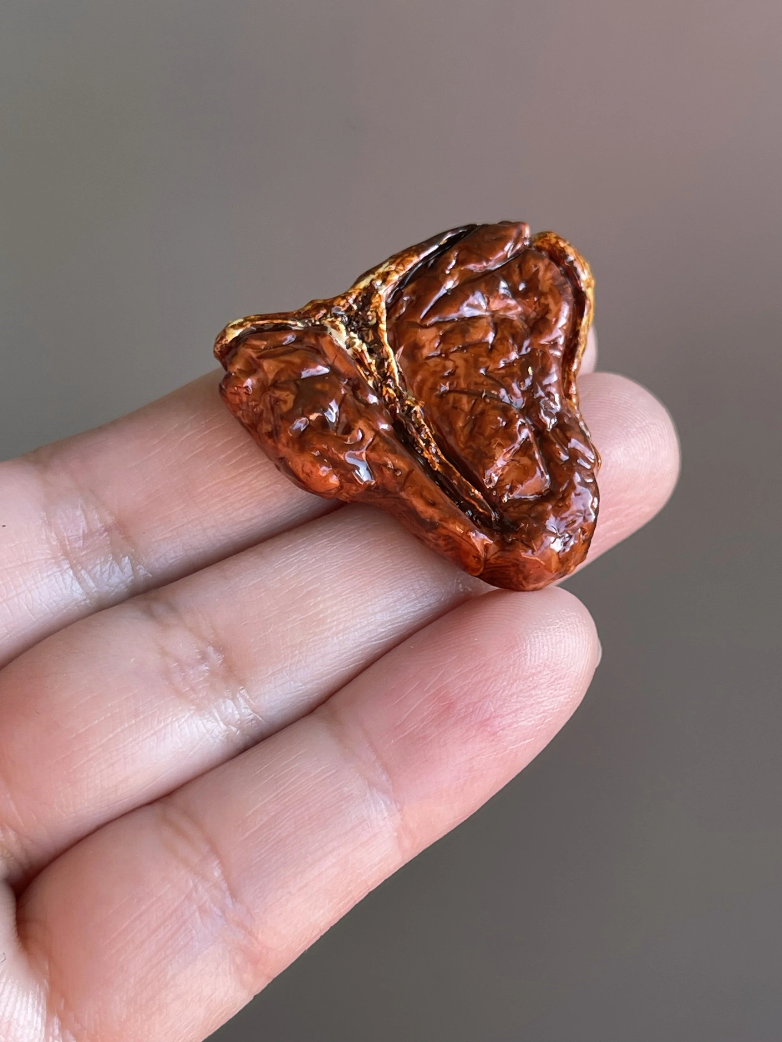 A hand holding a realistic polymer clay t-bone steak magnet..jpg