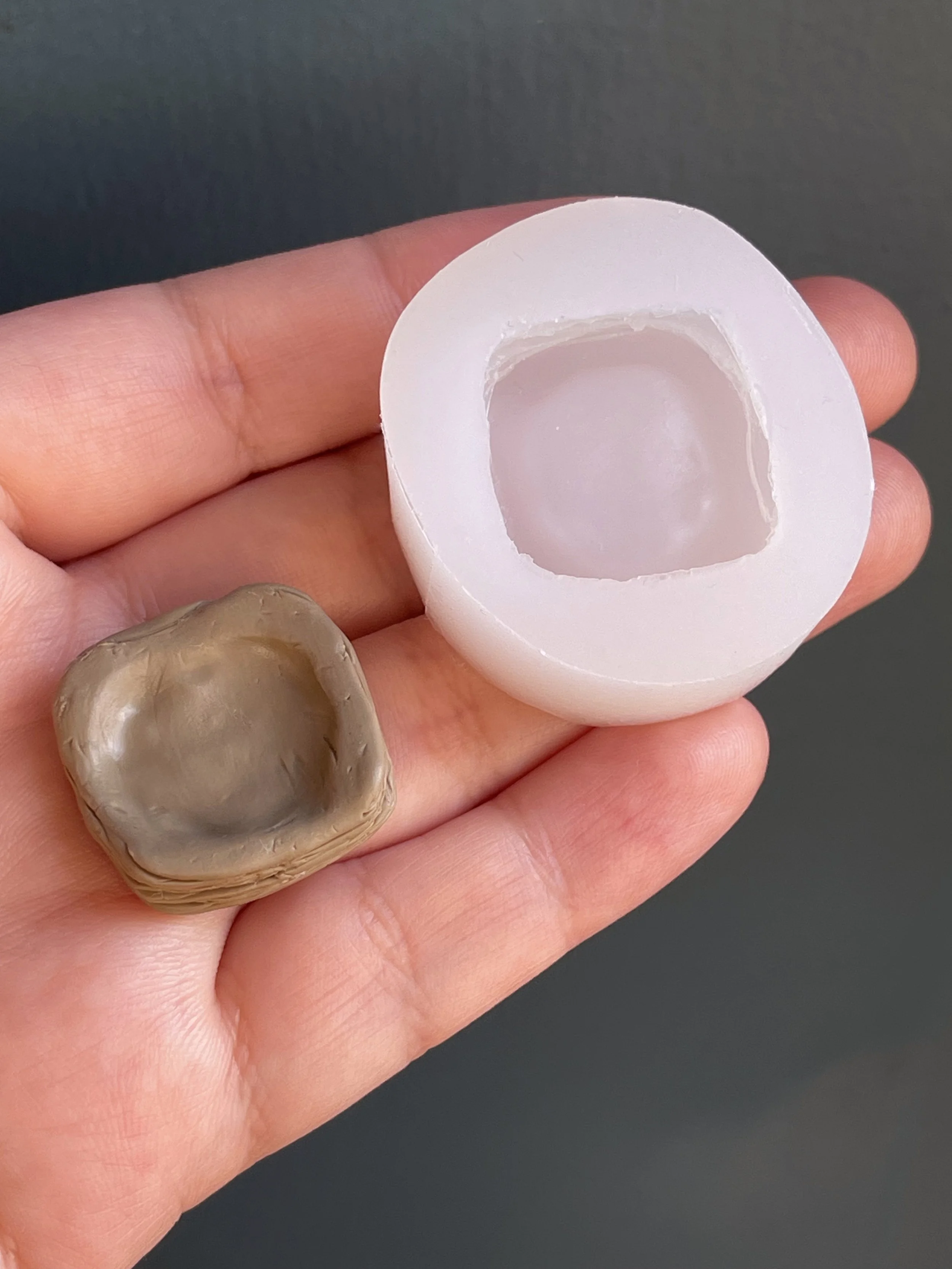 IMG_6193.A gray polymer clay silicone master copy next to the clear silicone mold that resulted from it.