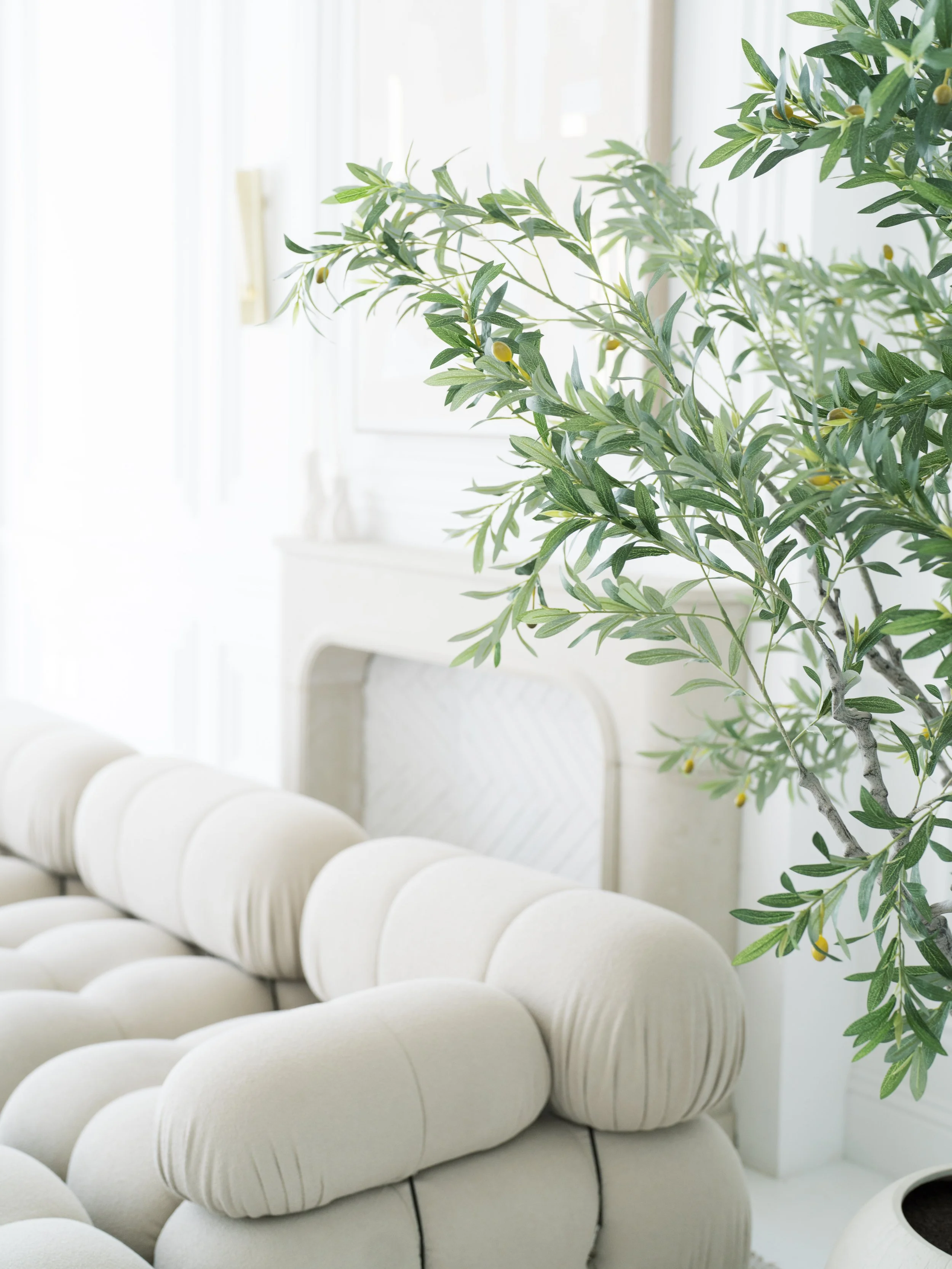 Close-up of a green leafy plant with small yellow fruits or flowers inside a bright white room, partially covering a cream-colored tufted sofa.