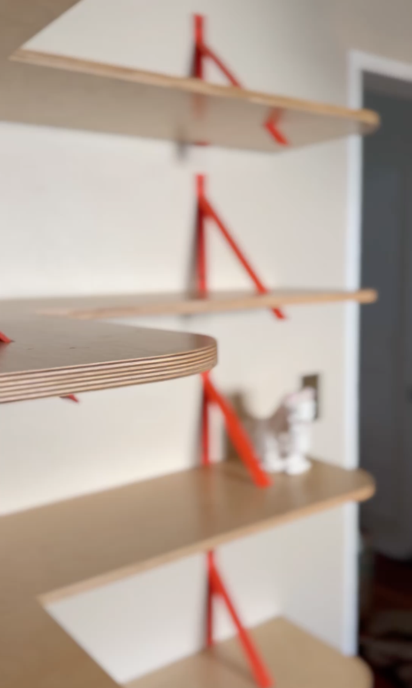 Chris Shelf