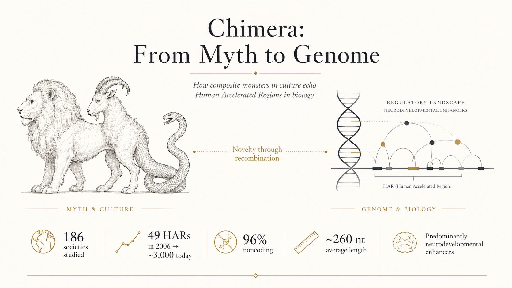 Chimera in Literature and Anthropology Compared to Modern Human Accelerated Regions (HARs)