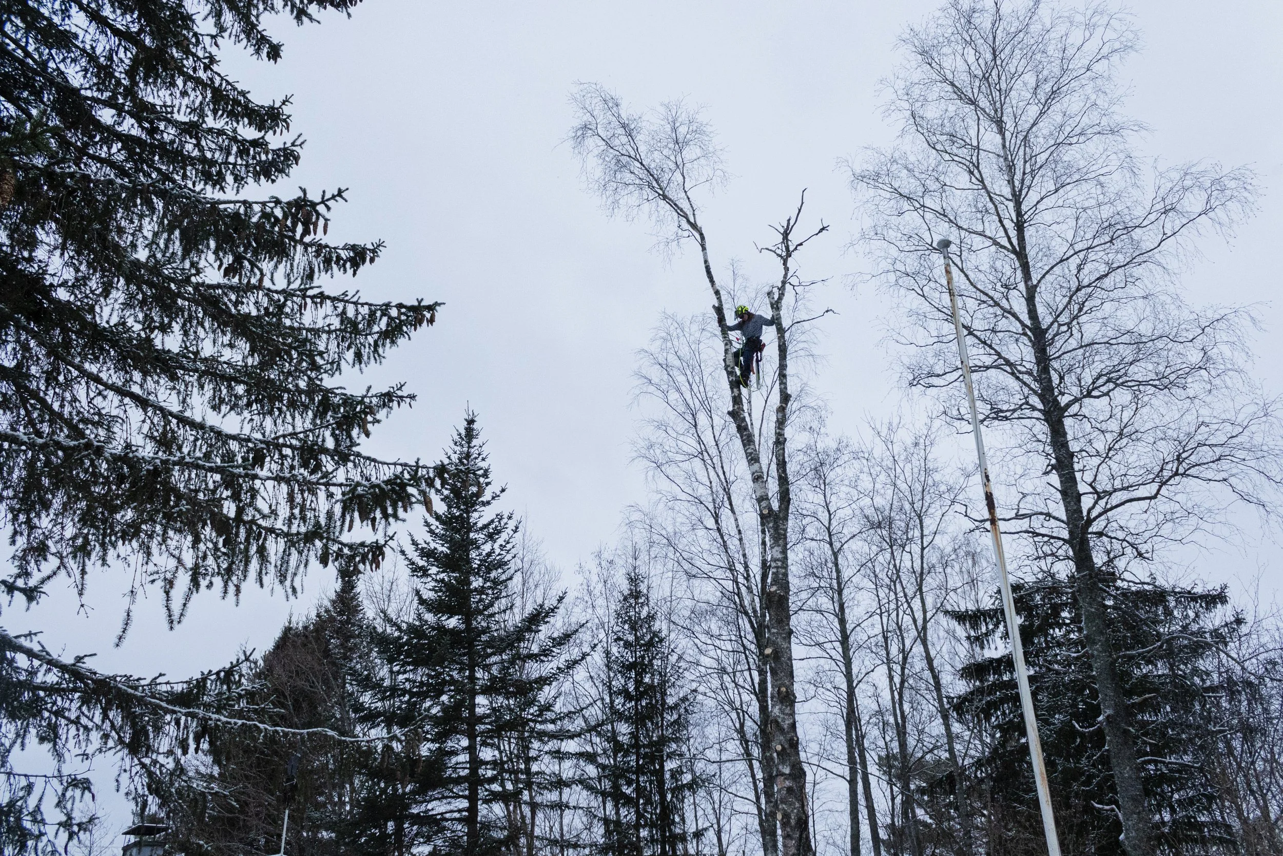 GC6A4742_lauri_tujula_1920pxshortkasperihongisto (1).jpg