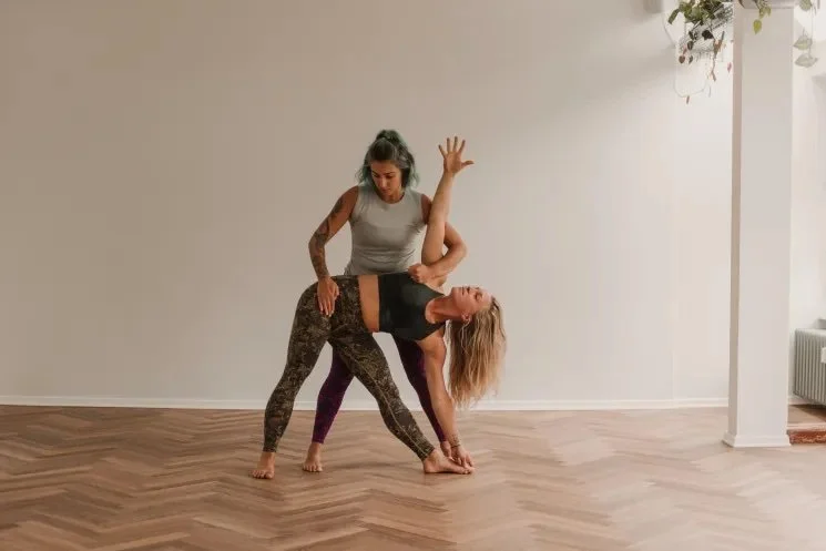 Adjustment Training with Katy (Level 1 + 2)