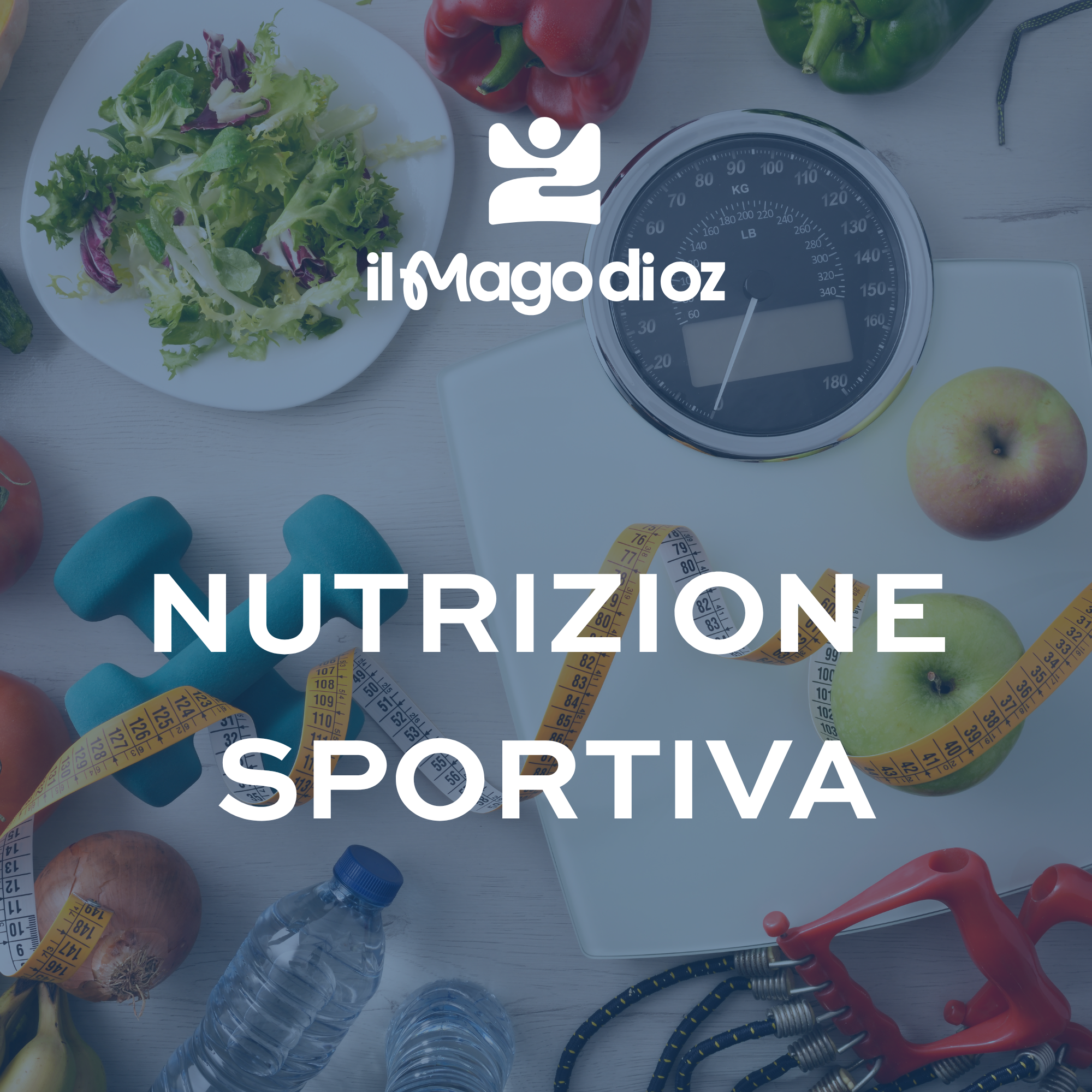 icone servizi whatsapp business(16).png