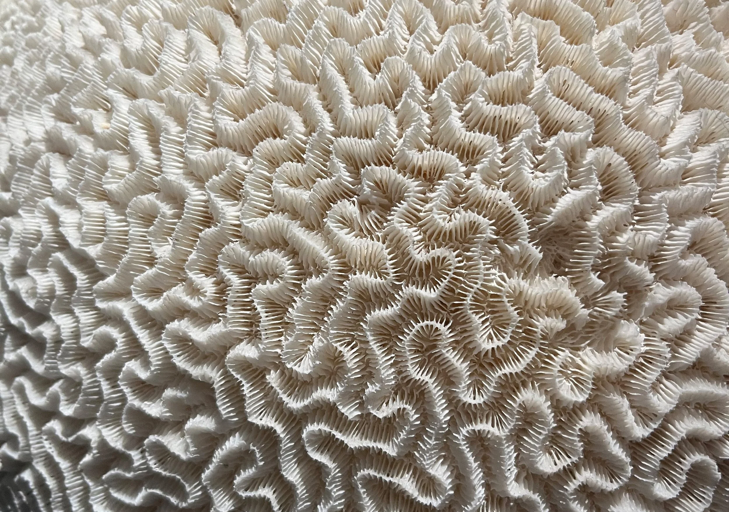 *TEIL 1: INSPIRATION