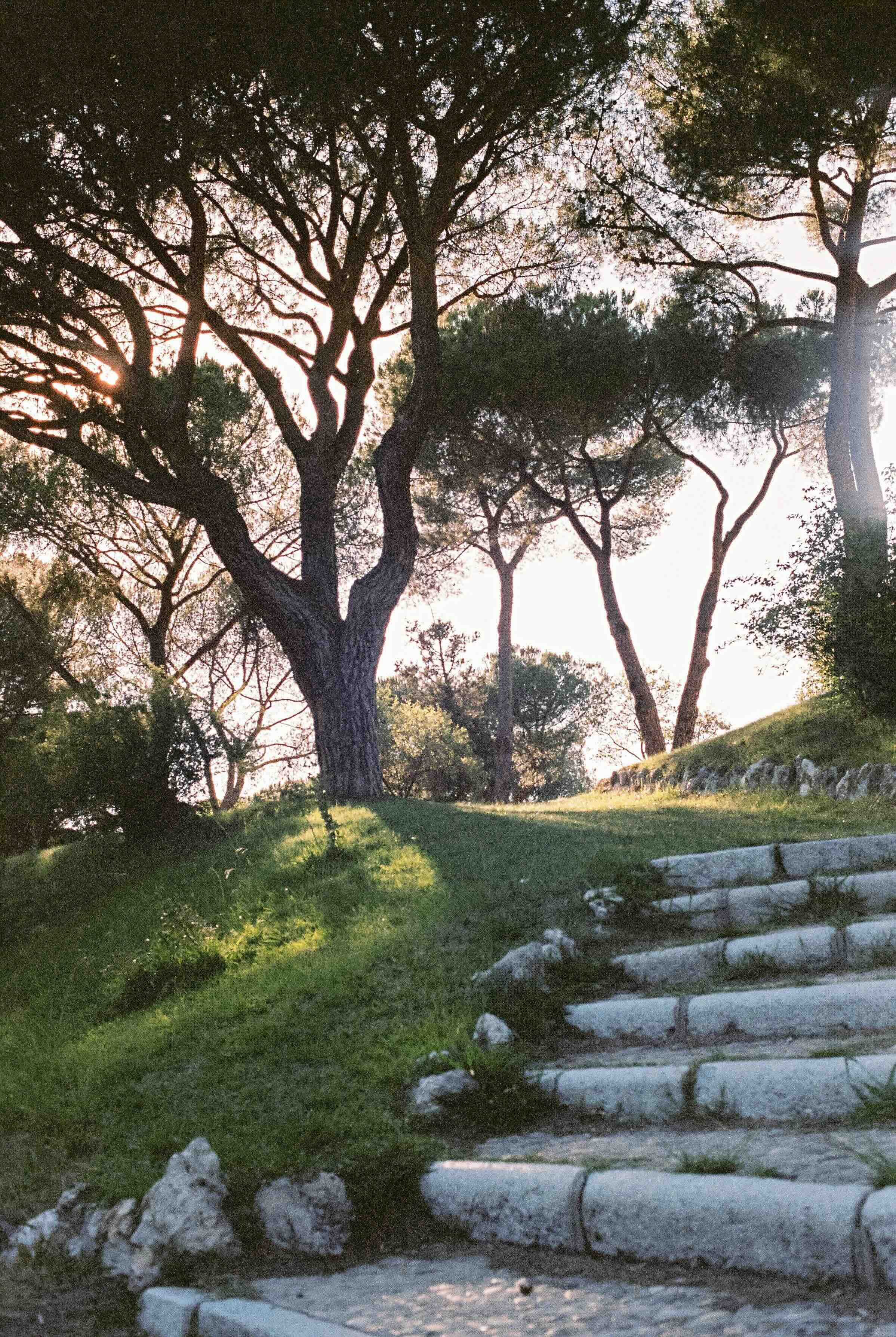 The Gentle Art of Accepting Limitations