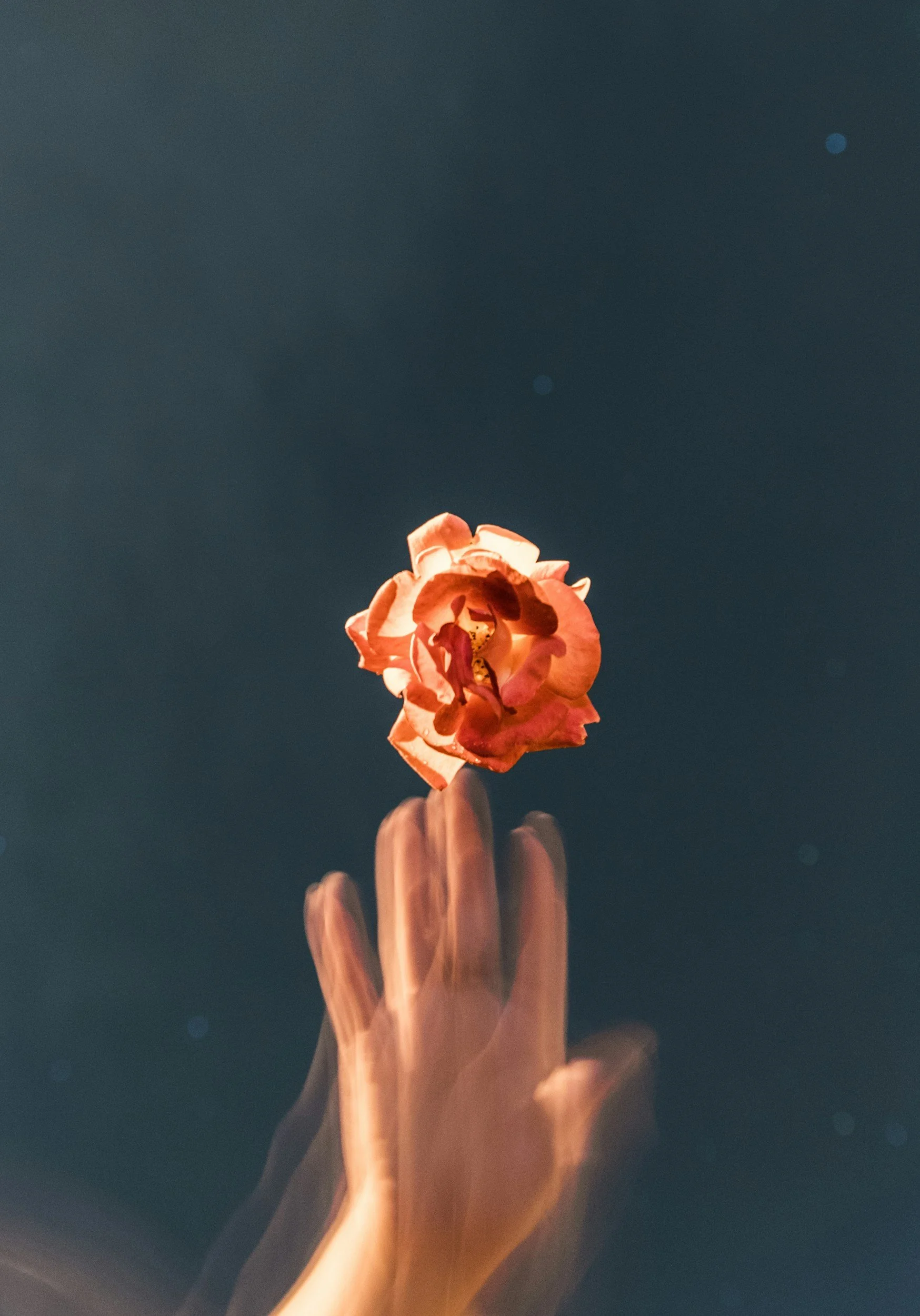 Hand holding a pink and orange rose against a dark background with a faint blue moon.