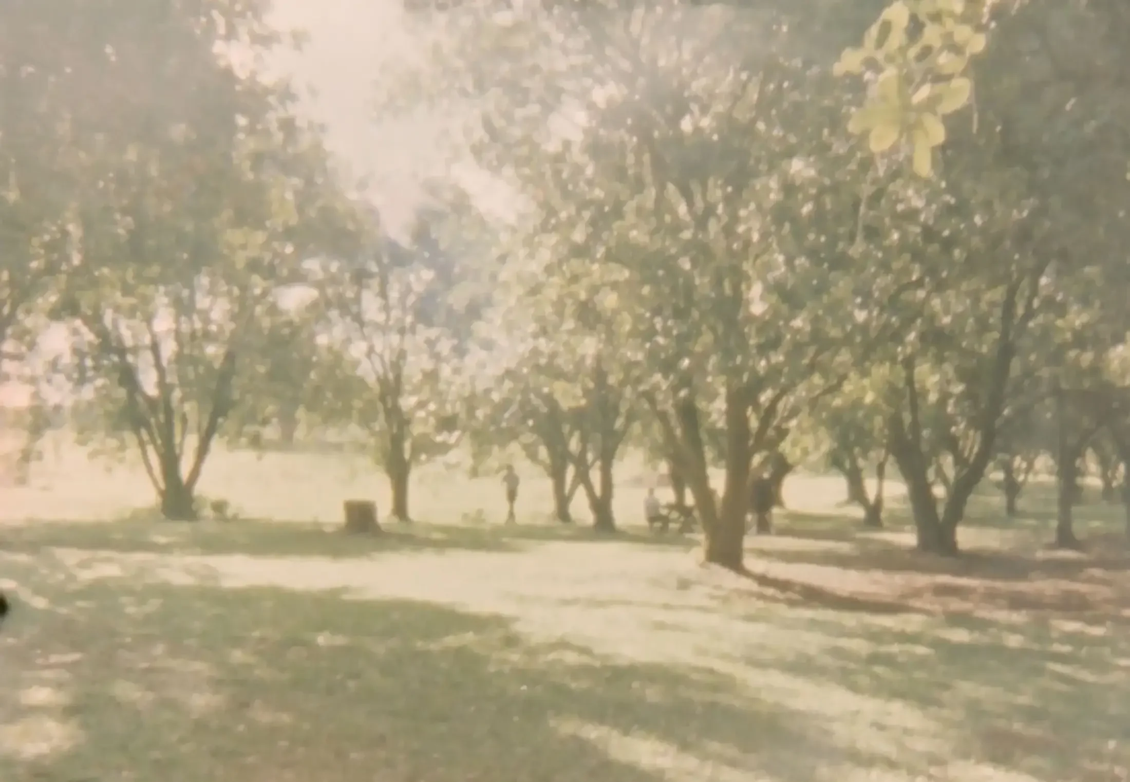 A park scene with trees, sunlight filtering through the branches, and people walking and sitting on benches.