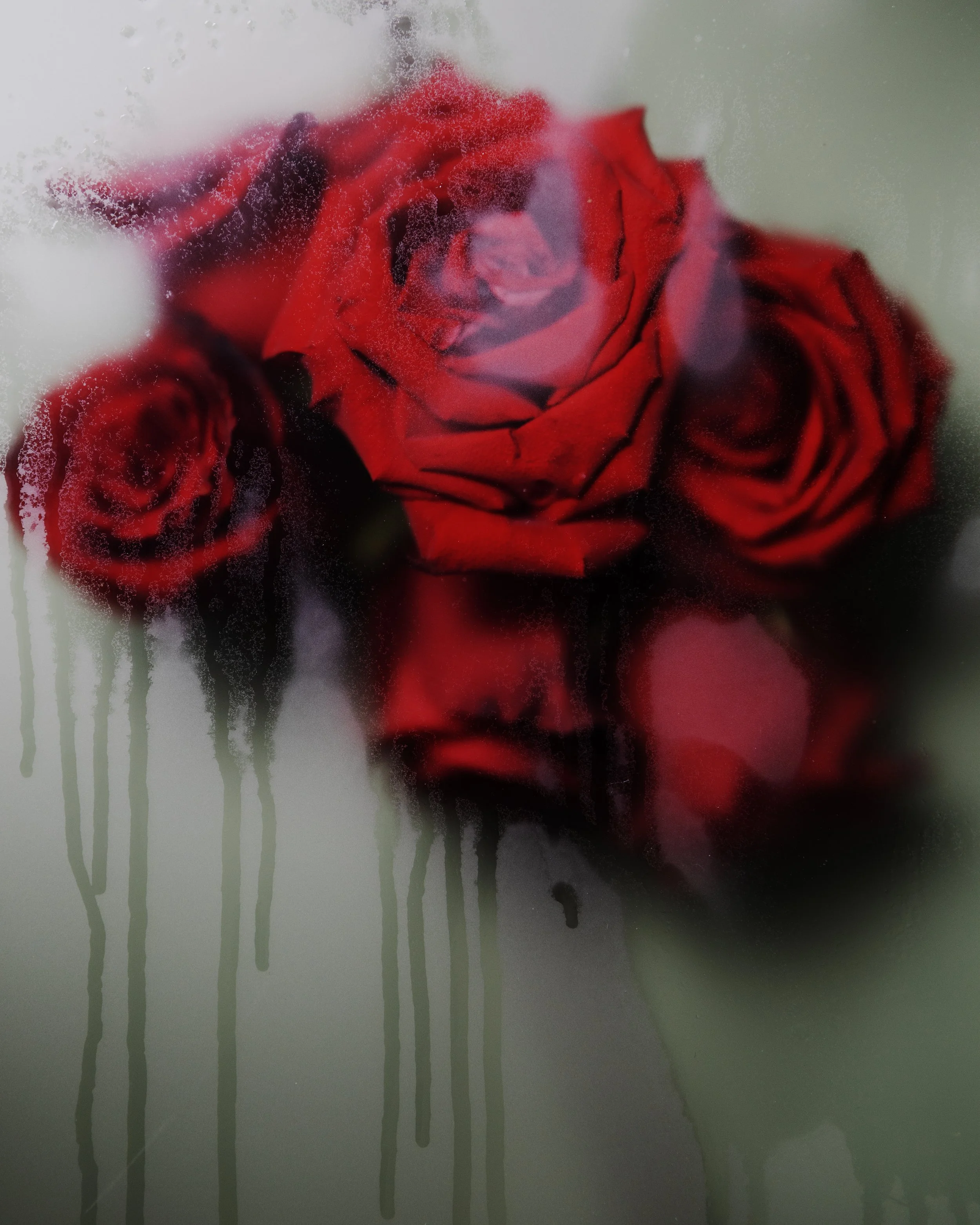 dh_ingredient_rose_05.jpg