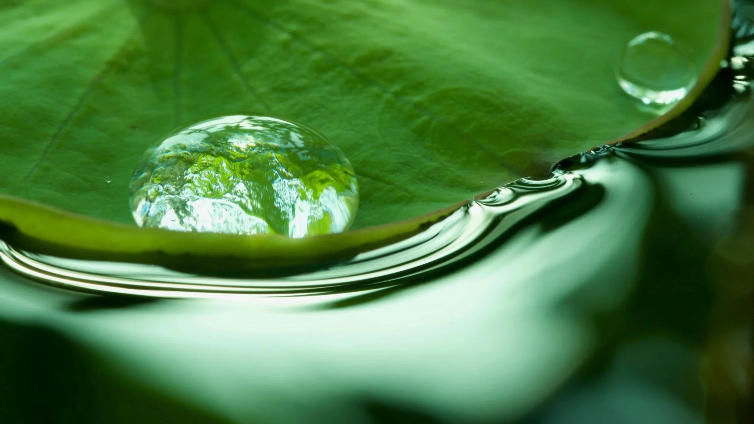 A Different Kind of January: Rethinking Your Scent Ritual